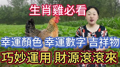 屬雞的幸運數字|屬雞的人幸運數字